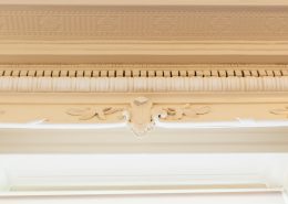 Bridgford Hall Cornice